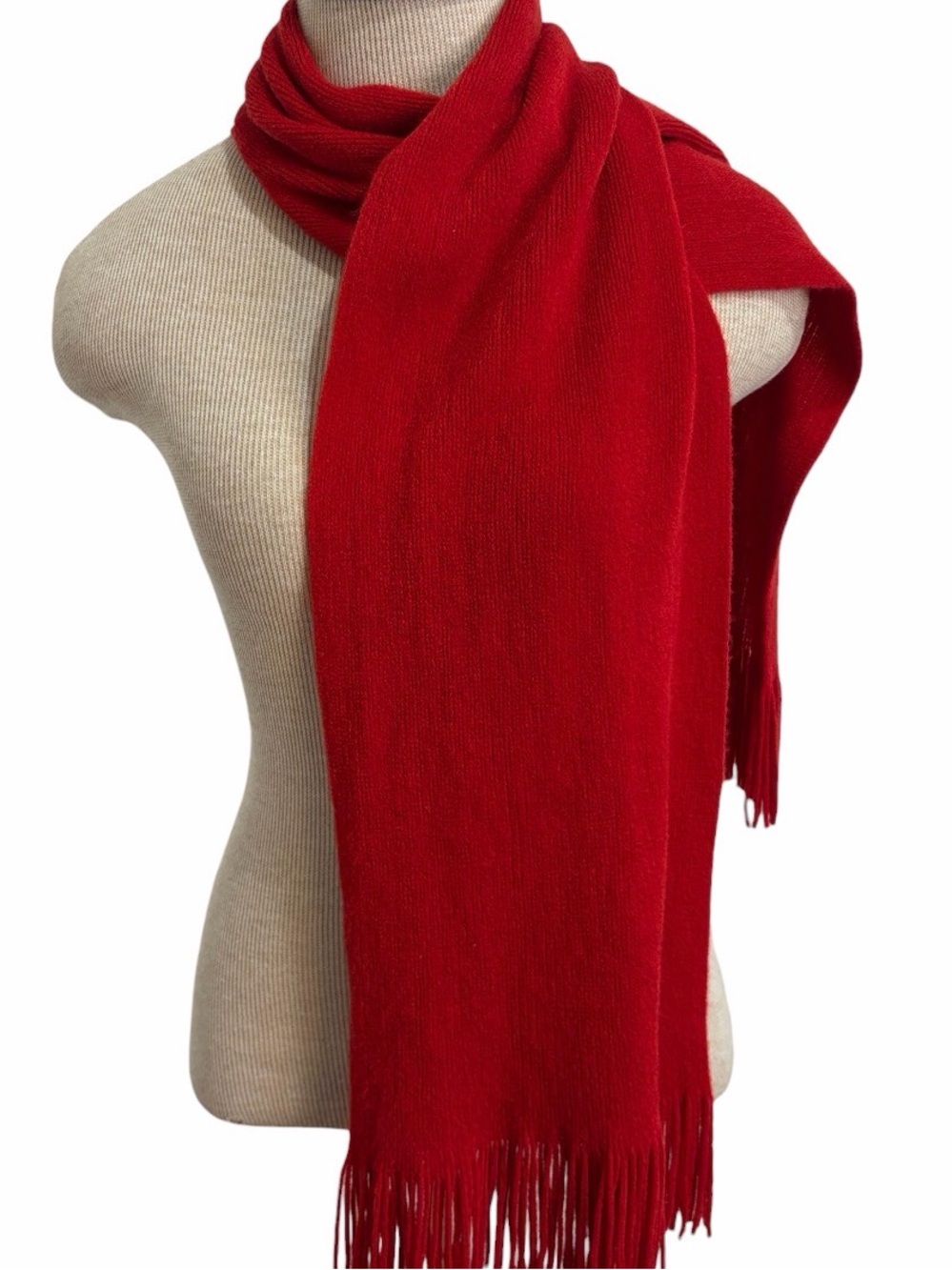 Echo Soft Red Fringe Winter Scarf Wrap Long